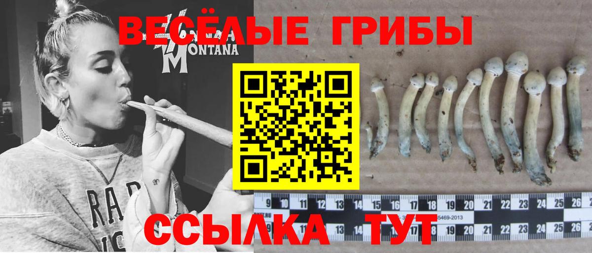 Галлюциногенные грибы MAGIC MUSHROOMS Ипатово
